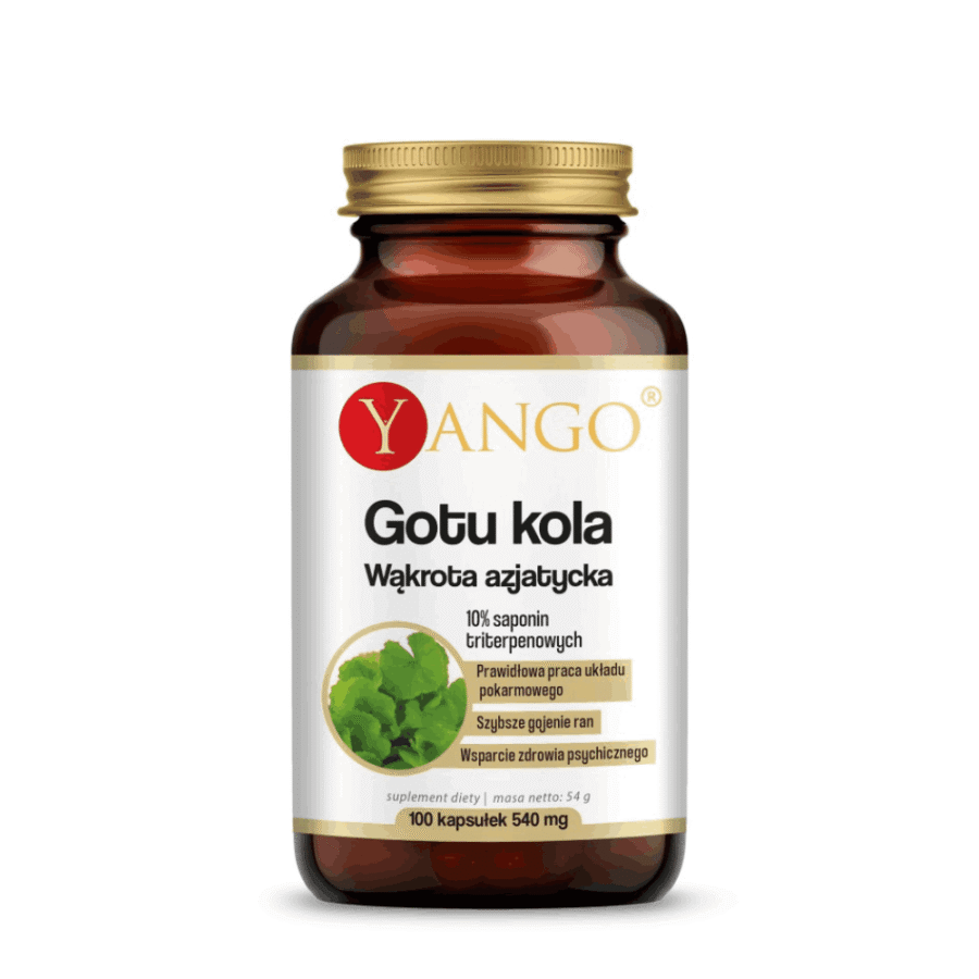 Gotu Kola - ekstrakt 10% saponin triterpenowych - Yango - 100 kapsułek