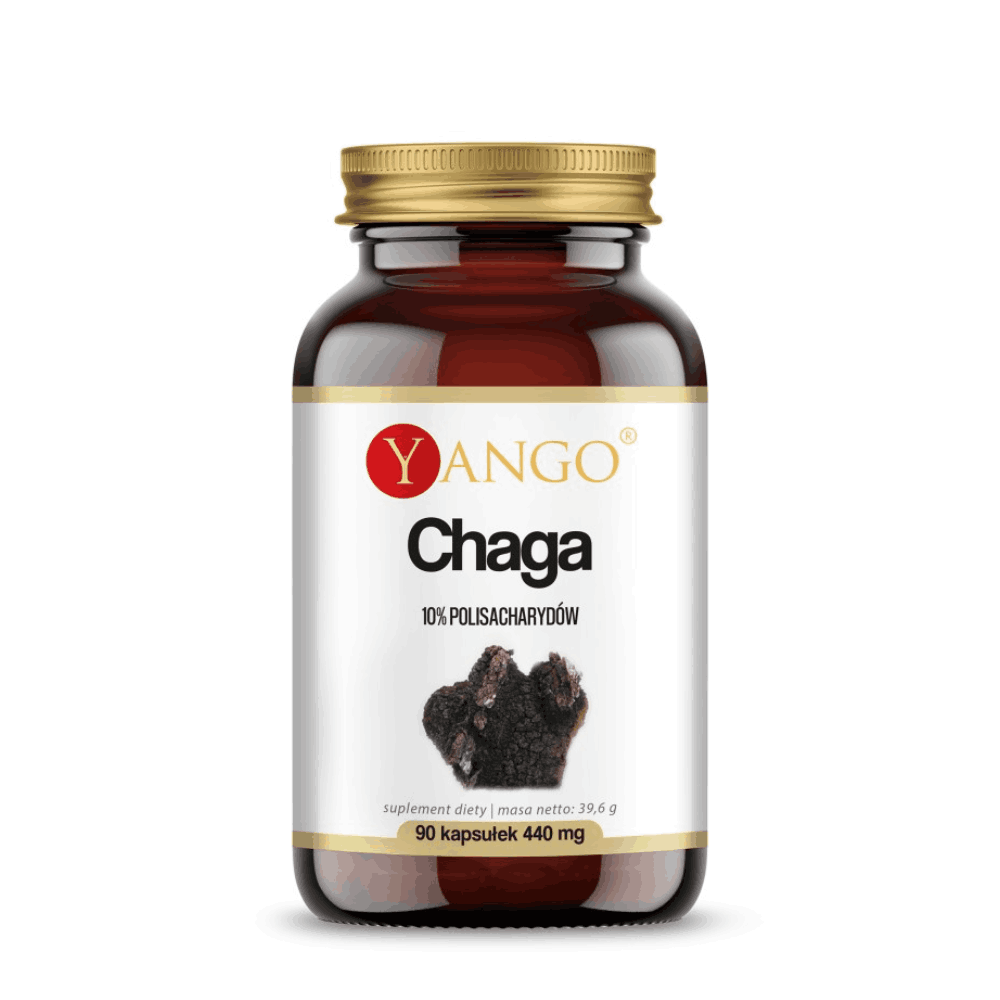 Chaga ekstrakt 10% polisacharydów - Yango - 90 kapsułek