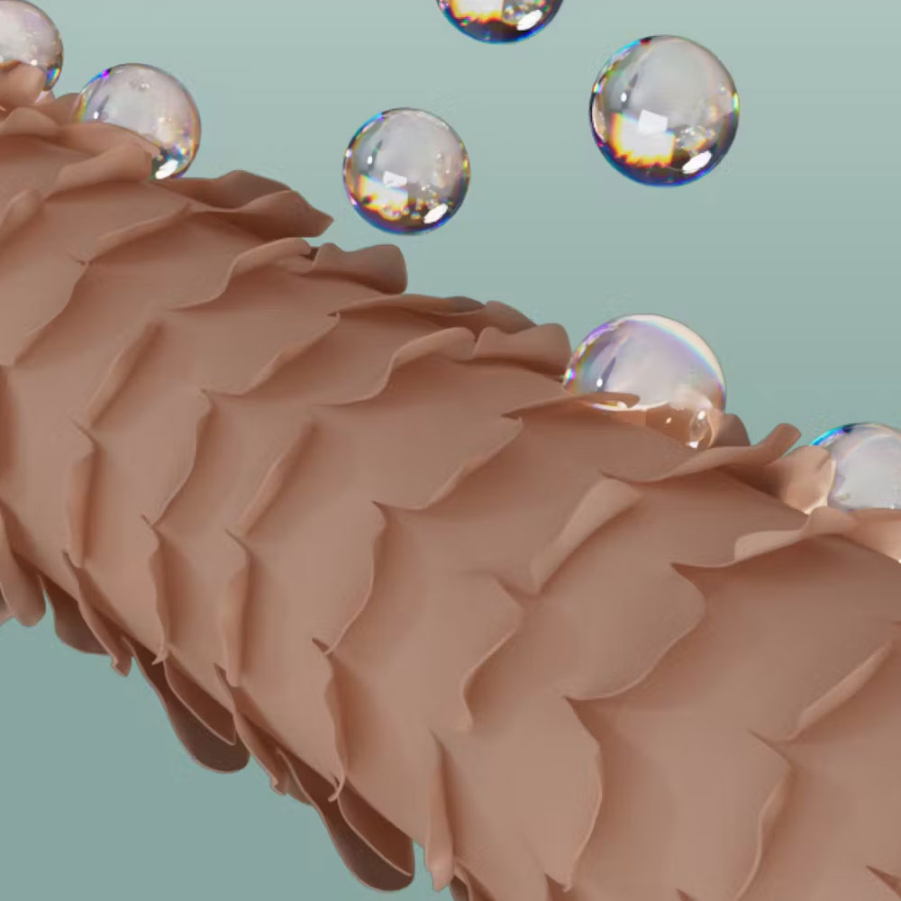 Odżywka kondycjonująca do łodygi włosa Balance On - Health Labs Care - 200 ml