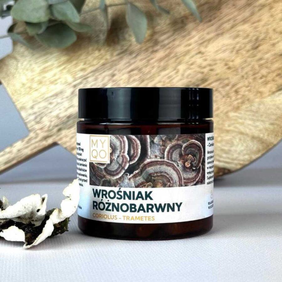 Wrośniak różnobarwny - Coriolus - Trametes - MYQO - 100 gram