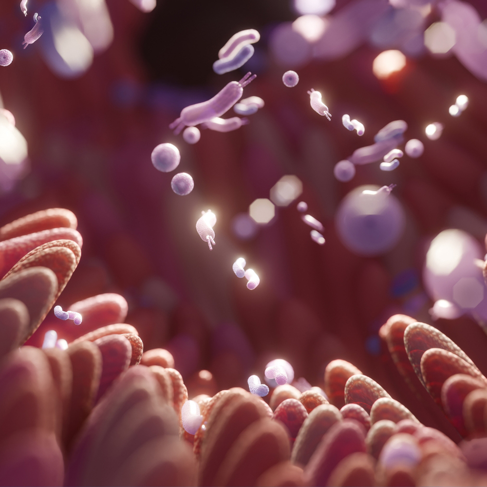 Jaki probiotyk wybrać