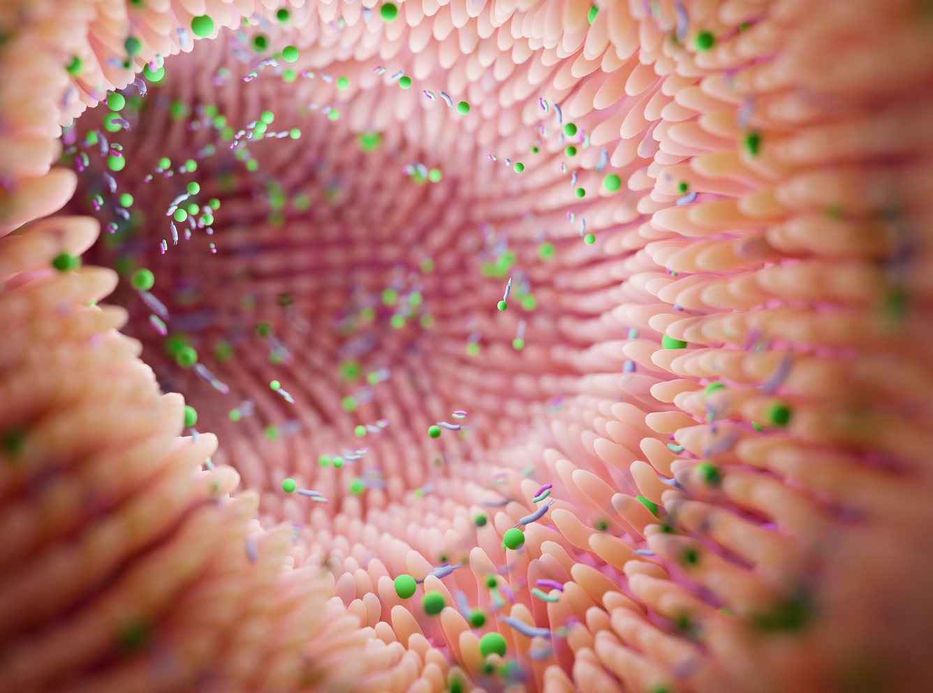 Jaki probiotyk wybrać